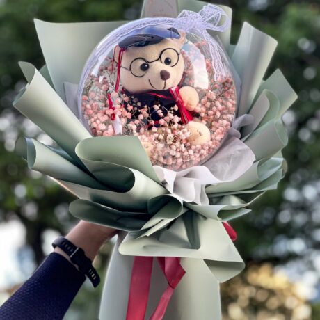 Beary Ball