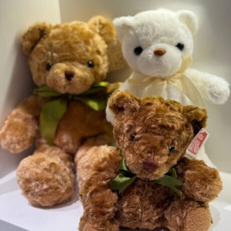 Teddies